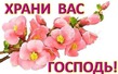 Никогда не бойтесь завтрашнего дня.