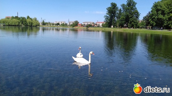 6 ����: �������