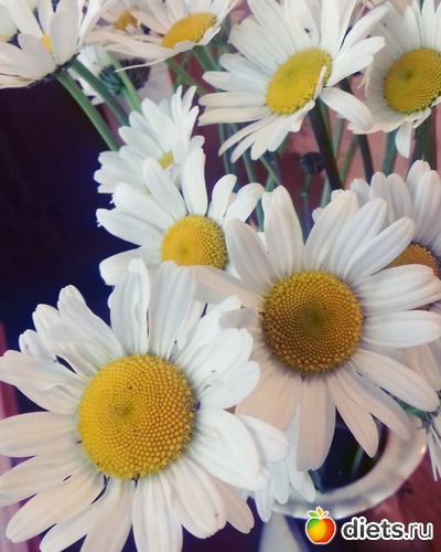 46 ����: ����