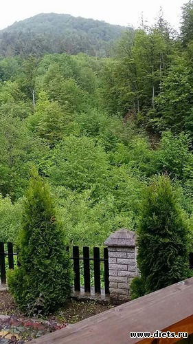 49 ����: ����