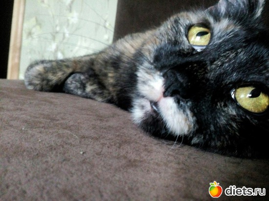 9 ����: ���������