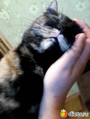 10 ����: ���������