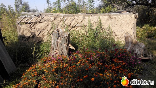 �������� �������� :), ������: ������� �����