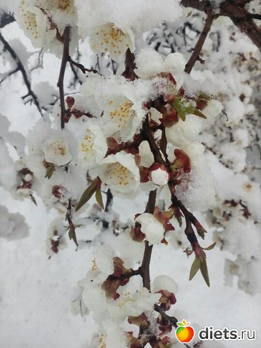 ���� � ����� ������, ������: ������� �����