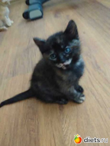 ��� ������ � ������� ������� :)), ������: ���������