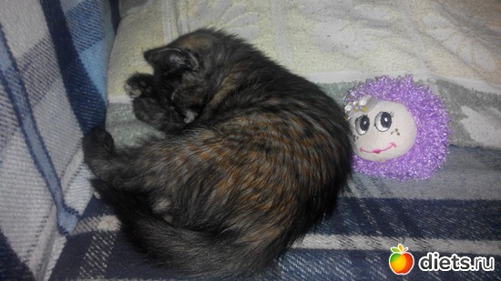 2 ����: ���������