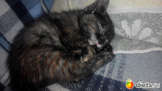 3 ����: ���������