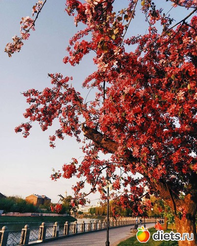 6 ����: ������� �������