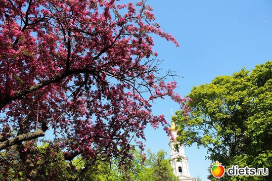 7 ����: ������� �������