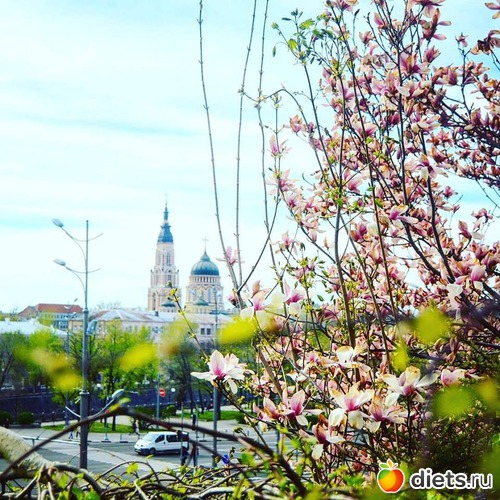 9 ����: ������� �������