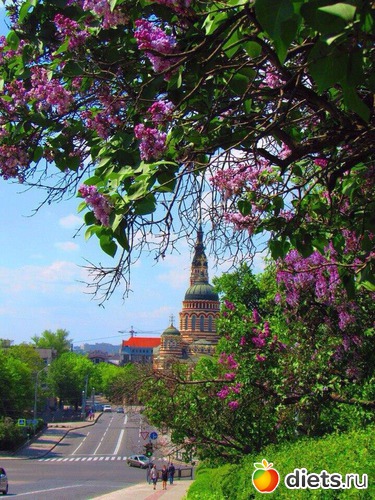 15 ����: ������� �������