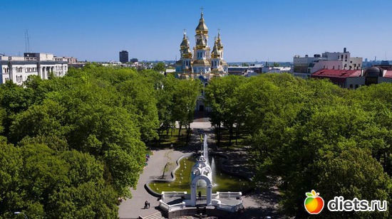 16 ����: ������� �������