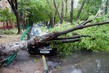 Майская гроза. Фёдор Тютчев.