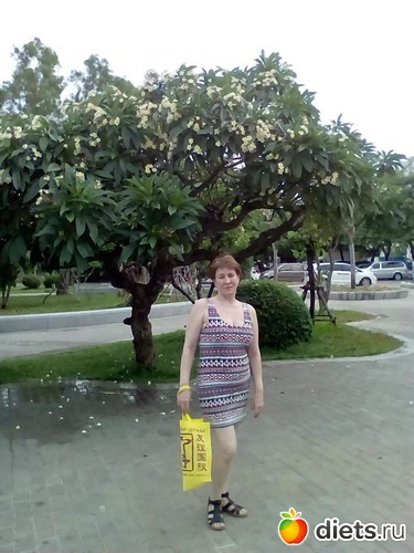 ����, ������: ������� ������ 2017