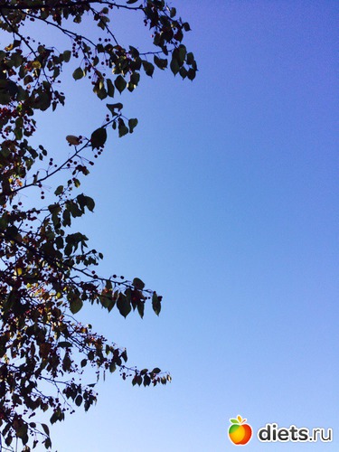 74 ����: ������� ����!!!