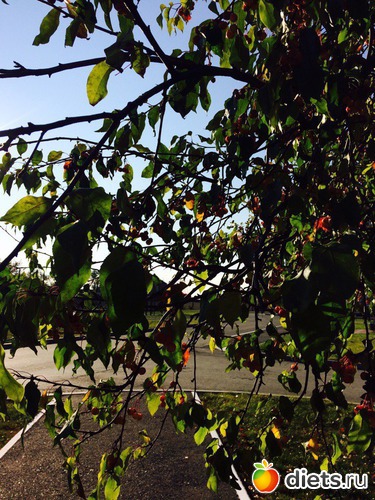 76 ����: ������� ����!!!