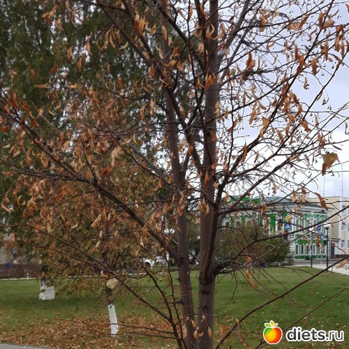 78 ����: ������� ����!!!