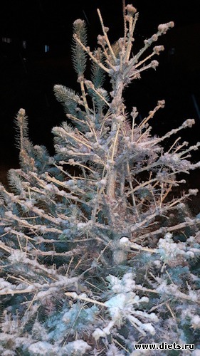 80 ����: ������� ����!!!