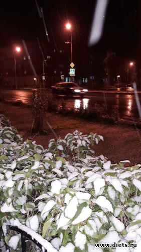 83 ����: ������� ����!!!