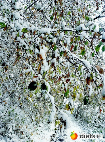 85 ����: ������� ����!!!