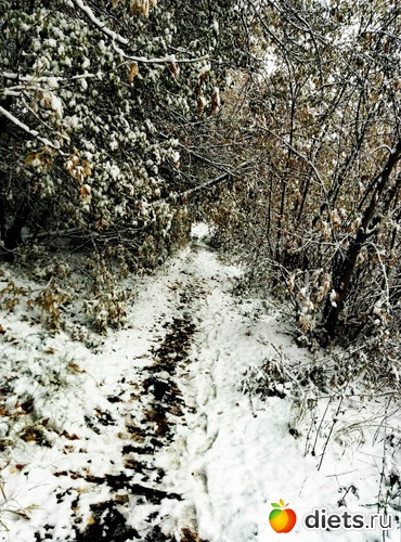 86 ����: ������� ����!!!