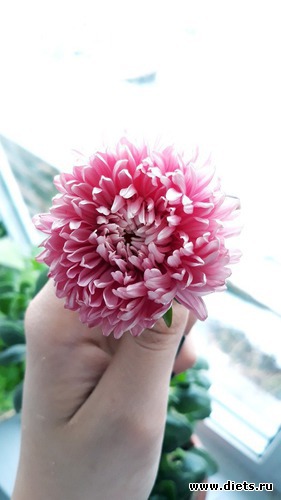 87 ����: ������� ����!!!