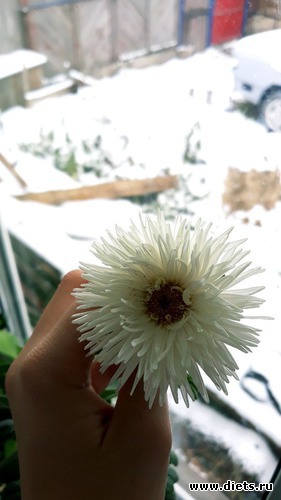 88 ����: ������� ����!!!