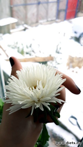 89 ����: ������� ����!!!