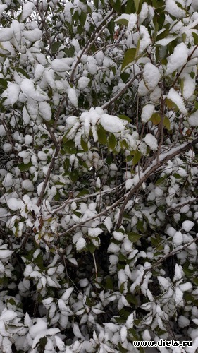 90 ����: ������� ����!!!