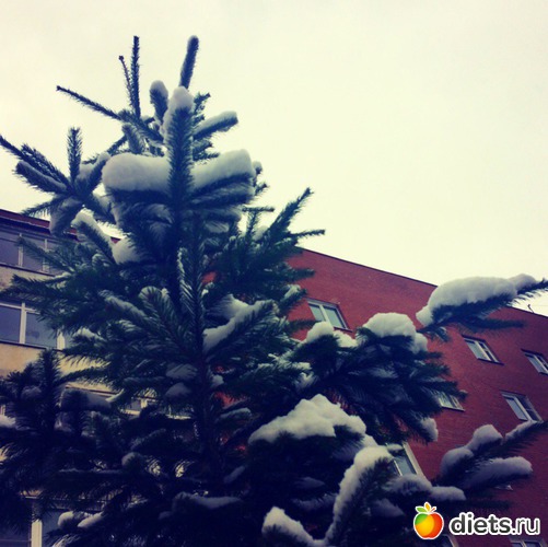 93 ����: ������� ����!!!