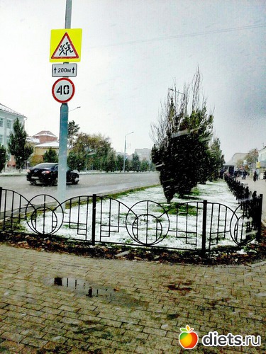 95 ����: ������� ����!!!