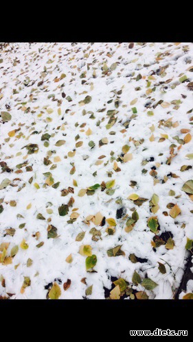 100 ����: ������� ����!!!