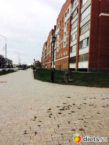 103 ����: ������� ����!!!