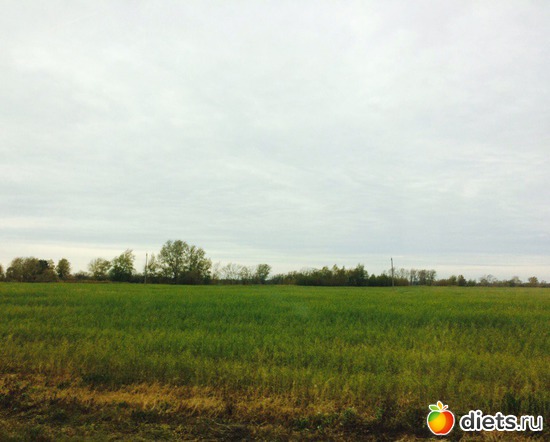 105 ����: ������� ����!!!