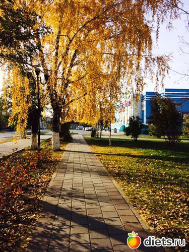 108 ����: ������� ����!!!