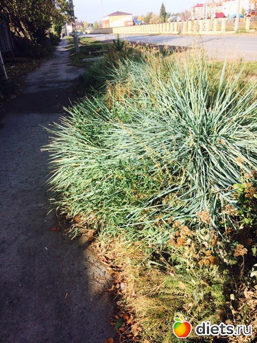 110 ����: ������� ����!!!