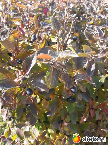 112 ����: ������� ����!!!