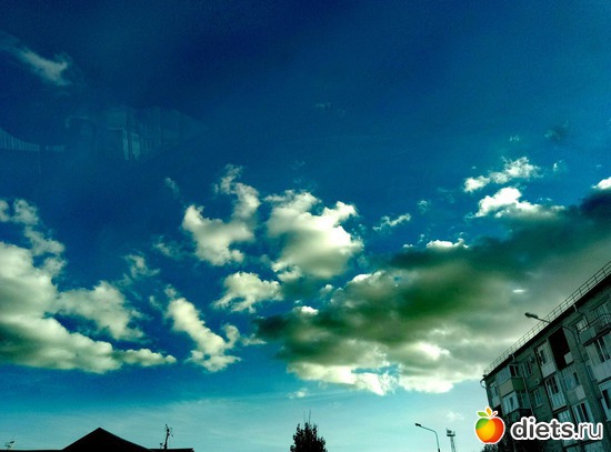 113 ����: ������� ����!!!