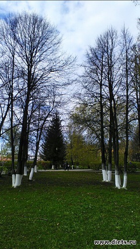 114 ����: ������� ����!!!