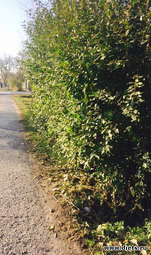 119 ����: ������� ����!!!