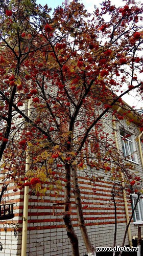 120 ����: ������� ����!!!