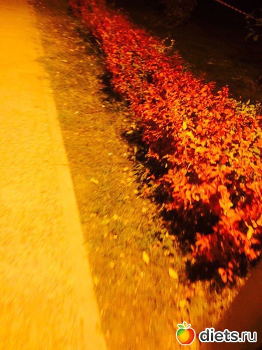 127 ����: ������� ����!!!