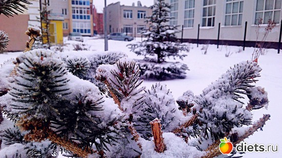 142 ����: ������� ����!!!