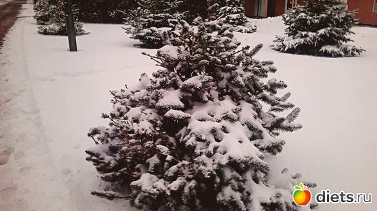 143 ����: ������� ����!!!