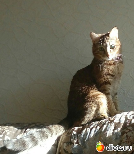 2 ����: ��������)))