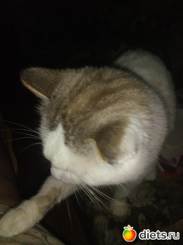 4 ����: ��������)))