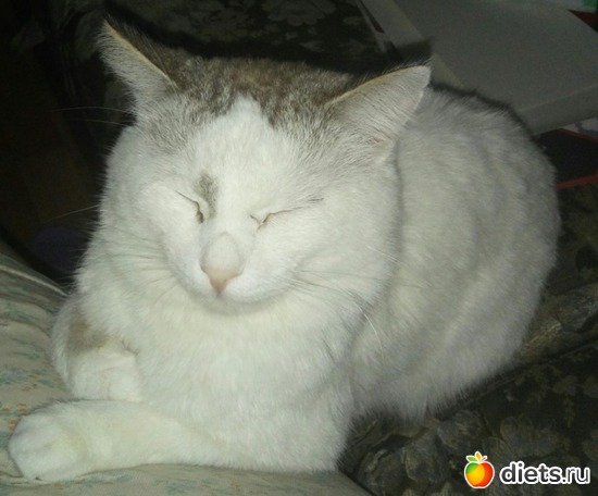 5 ����: ��������)))