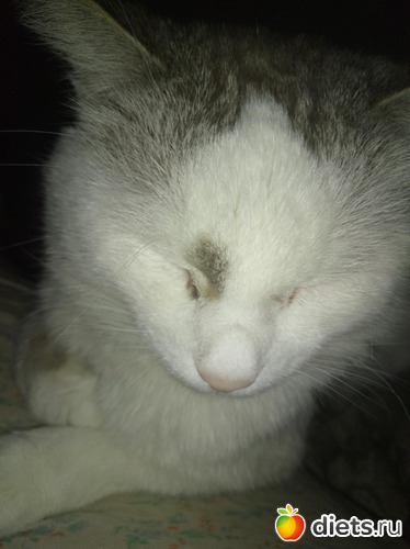 6 ����: ��������)))