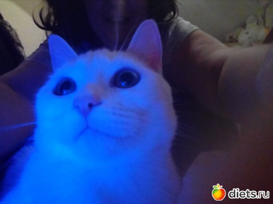 7 ����: ��������)))