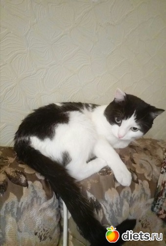 8 ����: ��������)))